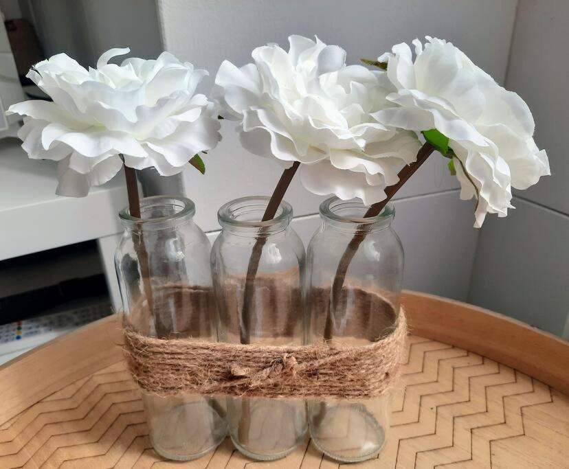 דירות פורניק La Palme De Retz מראה חיצוני תמונה